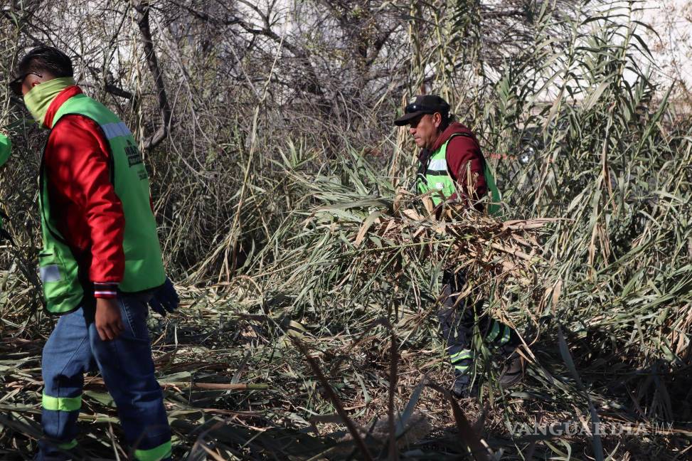 $!Brigadas municipales trabajan desde temprana hora en la mejora de espacios públicos.