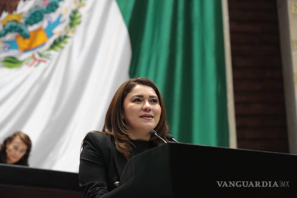 $!Plantea diputada Cruz Peláez, del PVEM, reformar la Ley General de Salud | Foto: Especial