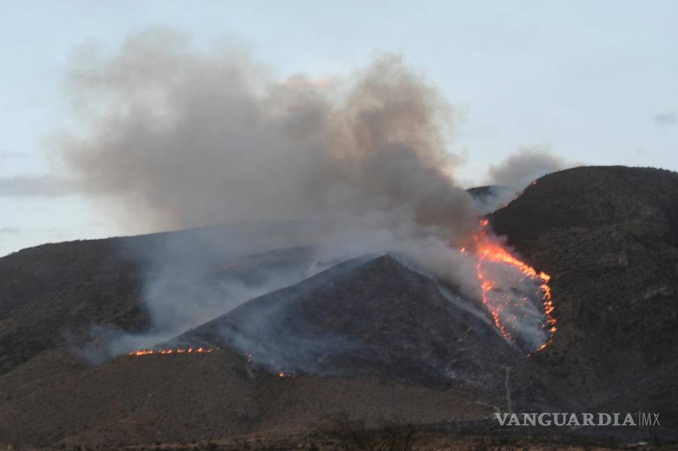 $!Aún sin registro de hectáreas consumidas por incendio en Zapalinamé; combaten 200 personas el fuego
