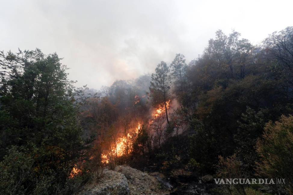 $!En Nuevo León, 160 inmuebles han sido alcanzados por el fuego en la zona serrana