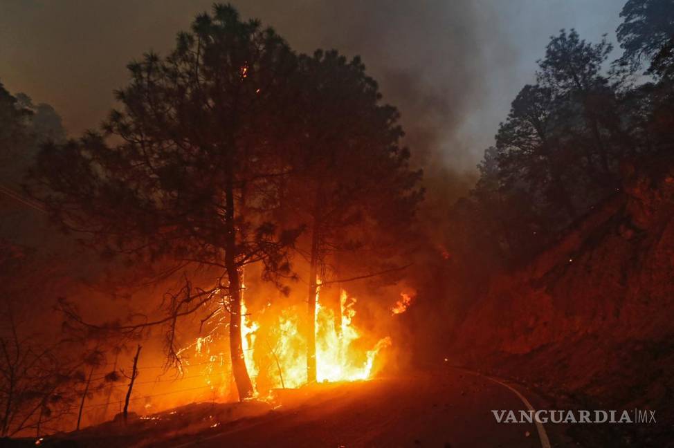 $!Incendio ha quemado ya casi 7 mil hectáreas de sierra de Arteaga