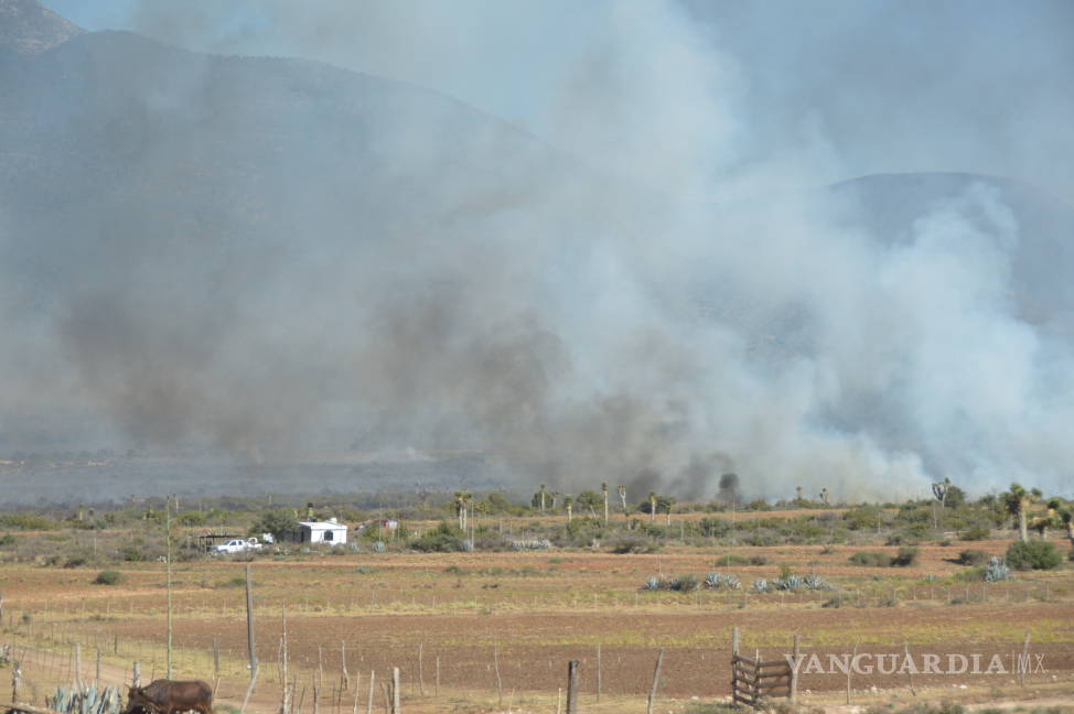 $!Arrasa incendio forestal con 80 hectáreas al sur de Saltillo