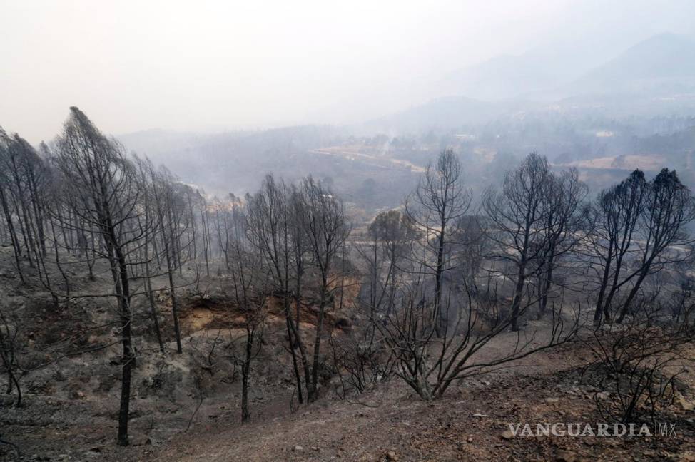 $!Incendio forestal en sierra de Arteaga sin control; evacuan a ejidatarios de San José de Boquillas