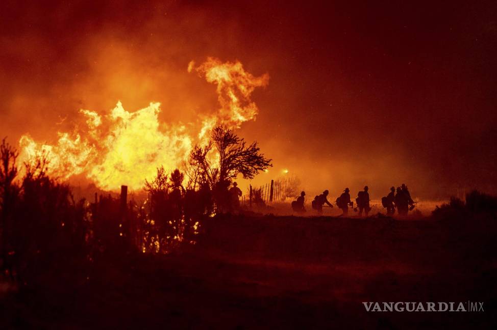 $!Bomberos combaten las llamas de un incendio forestal en Doyle, California el 9 de julio del 2021. AP/Noah Berger