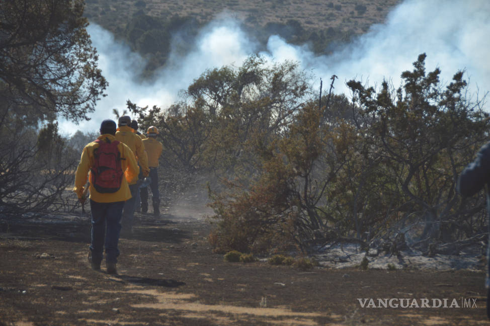 $!Más de 100 brigadistas caminan cuatro horas, bajo temperaturas de 30 grados para combatir incendio al sur de Saltillo