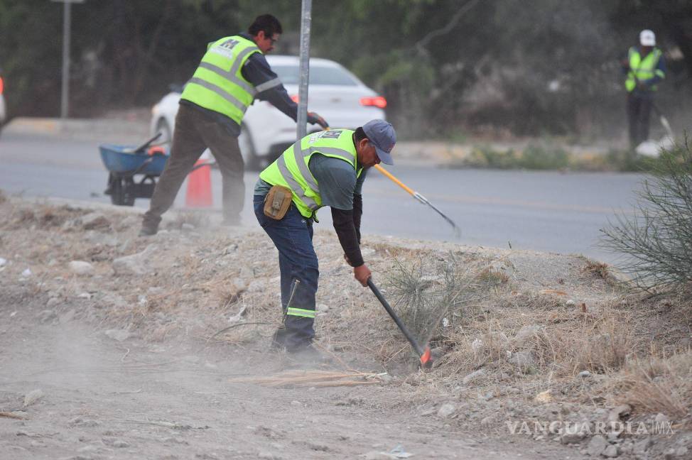 $!Participantes del programa La Ola Monclovense realizan labores de reforestación y limpieza como parte de su servicio comunitario.