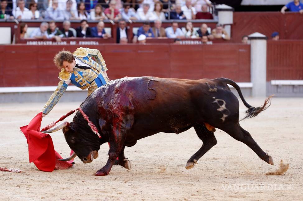 $!&quot;Pensaba que me moría”, dice el torero español Román Collado