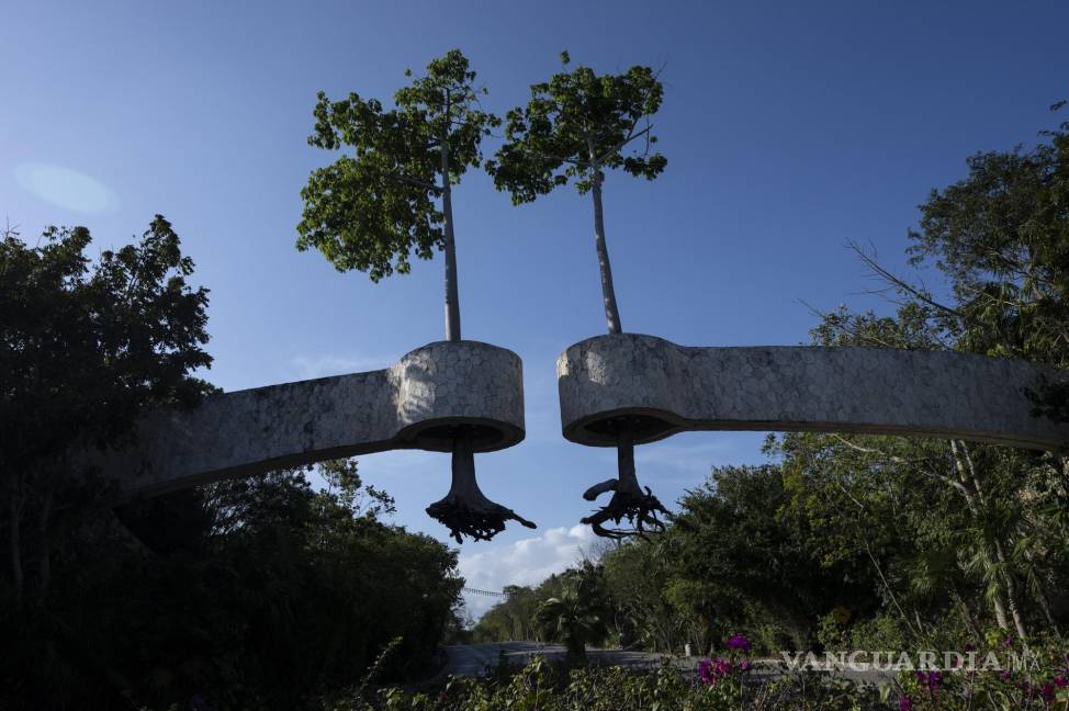 $!Árboles con las raíces al aire, suspendidos en el aire a modo de decoración en la entrada de un complejo turístico en Playa del Carmen, México.