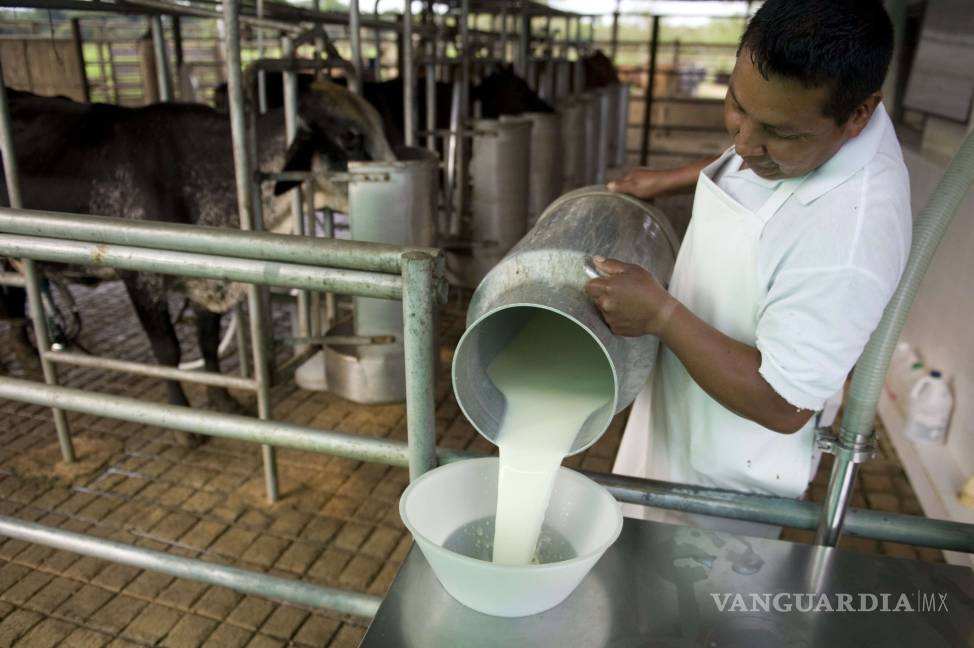 Productores de lácteos mexicanos piden apertura a mercado de EU