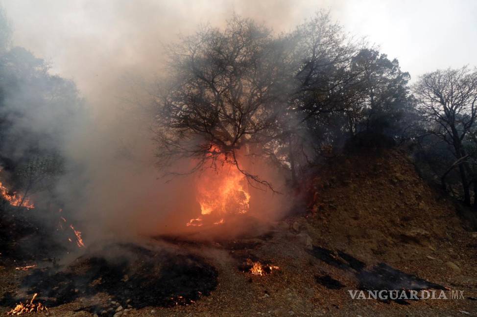 $!Incendio ha quemado ya casi 7 mil hectáreas de sierra de Arteaga