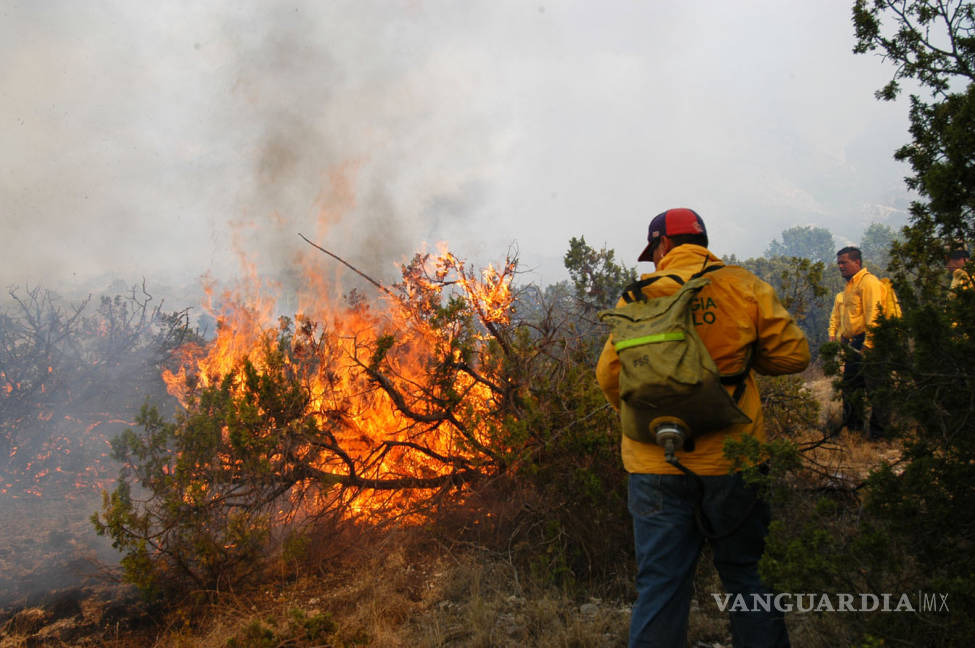 $!Jalisco suma 739 incendios al cierre de temporada crítica