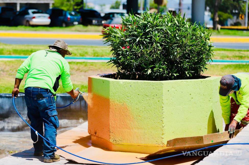 $!Con pintura y mantenimiento a las plantas se da vida a las áreas verdes de la ciudad.