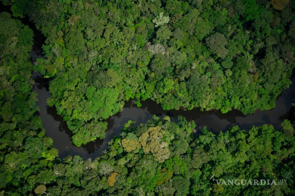 $!Temer autoriza la explotación minera en una enorme reserva amazónica