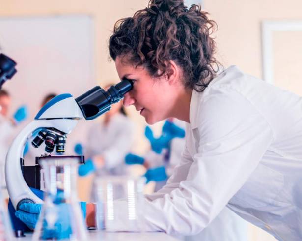 Coahuila se ubica entre los estados con mayor proporción de mujeres en estas áreas, junto con Querétaro.