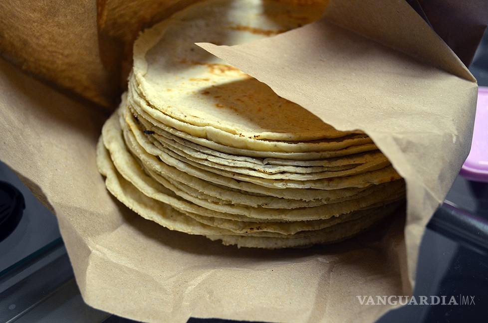 Más de 90 por ciento de las tortillas en México contiene maíz transgénico
