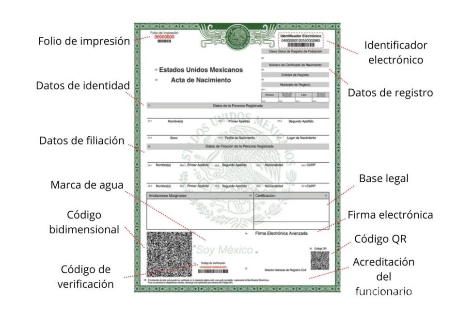 $!Copia certificada del acta de nacimiento... este es el nuevo formato único, cómo obtenerlo con tu CURP y descargarlo en PDF