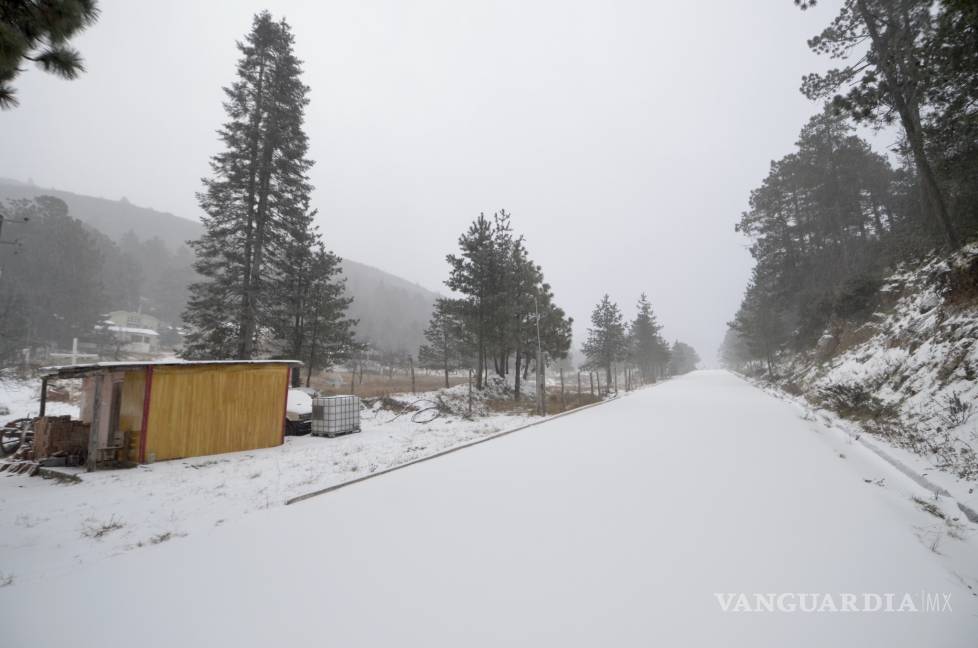 $!Así amanece la sierra de Arteaga, Coahuila, tras intensa nevada (Fotos)