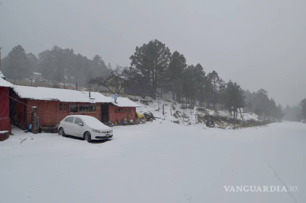 $!Así amanece la sierra de Arteaga, Coahuila, tras intensa nevada (Fotos)
