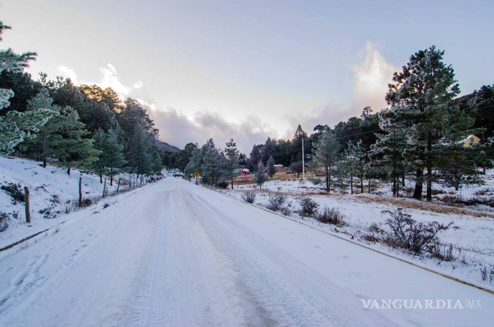 $!Desde el anochecer hasta el amanecer, la nieve cobijó a la sierra de Arteaga (Fotos)
