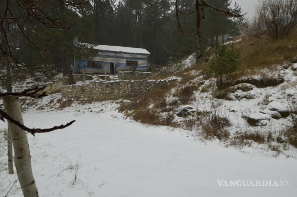 $!Así amanece la sierra de Arteaga, Coahuila, tras intensa nevada (Fotos)
