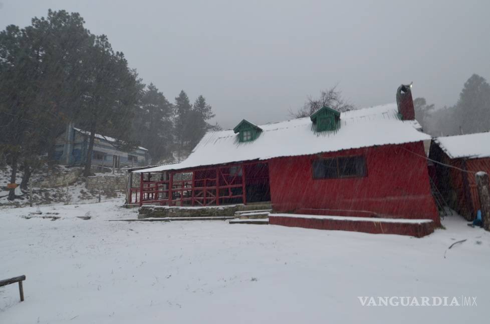 $!Así amanece la sierra de Arteaga, Coahuila, tras intensa nevada (Fotos)