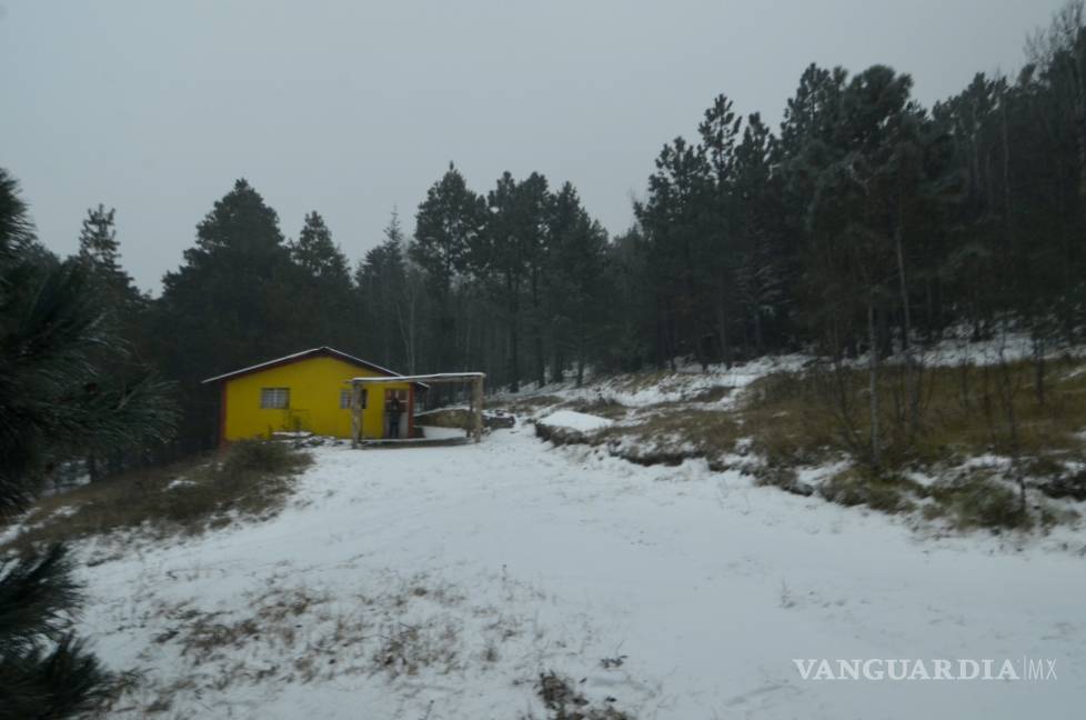 $!Así amanece la sierra de Arteaga, Coahuila, tras intensa nevada (Fotos)