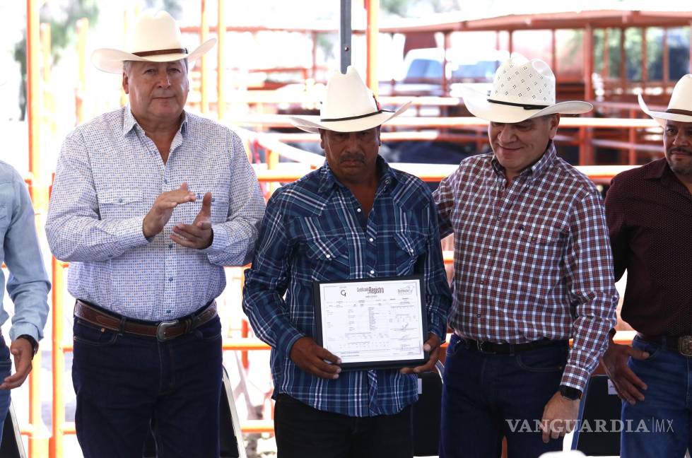$!El día de ayer se llevó a cabo la entrega de sementales para mejorar la calidad genética del ganado de la región.