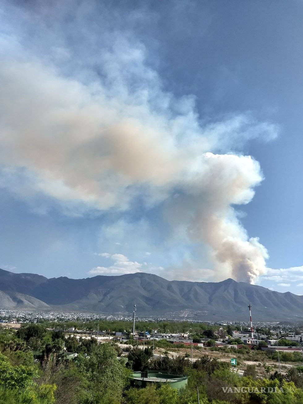 $!Hasta diez años tardarán en crecer los árboles afectados en el cañón de San Lorenzo