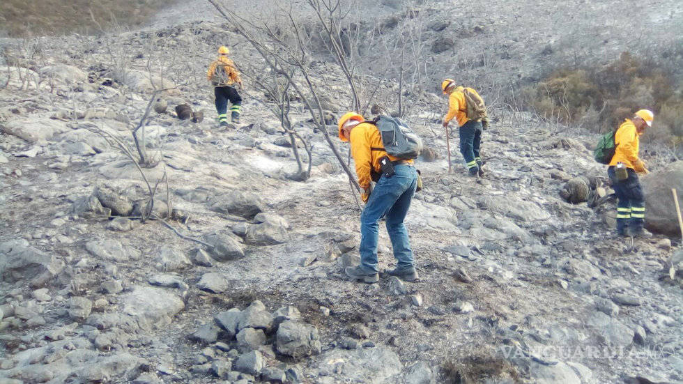 $!Un millón de pesos diarios cuesta combate a incendio en cañón de San Lorenzo