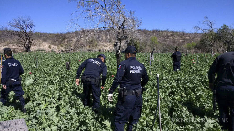 $!Consumo de heroína y opiáceos destruye a EU y devasta a México: The Washington Post