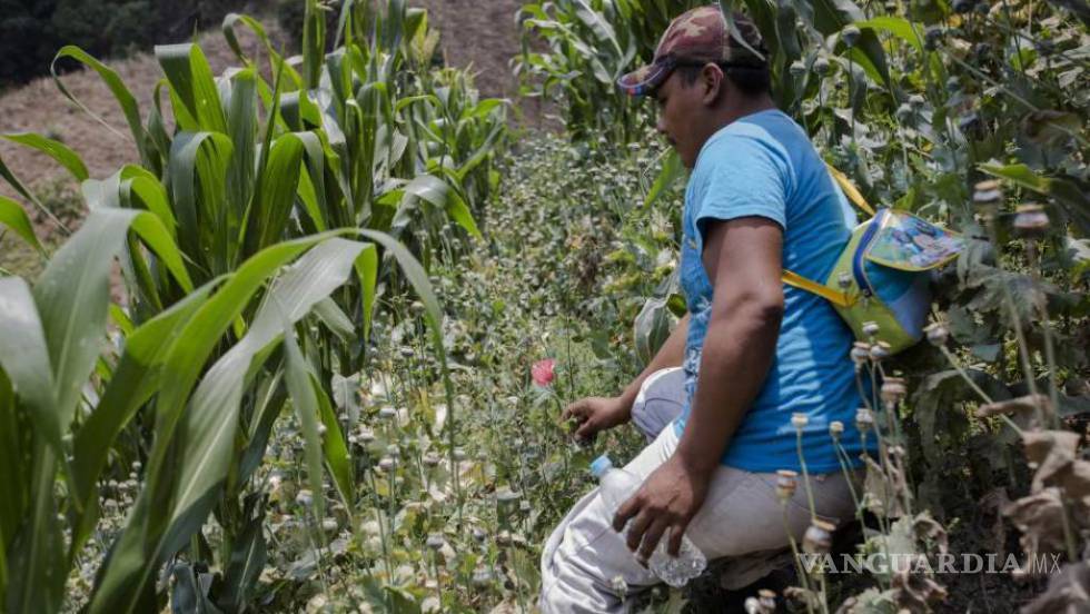 Grupos criminales toman la gobernanza en zonas rurales