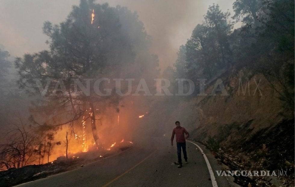 $!Arrasa fuego con 2 mil hectáreas de flora y zonas de cabañas en Arteaga