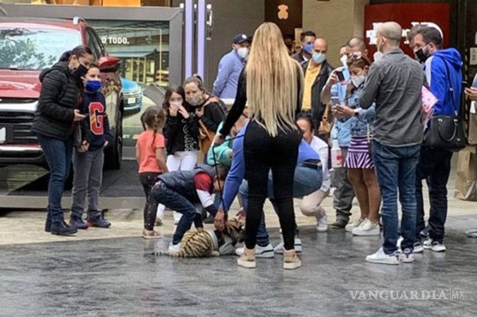 $!Mujer que paseó Tigre es pareja de futbolista del América