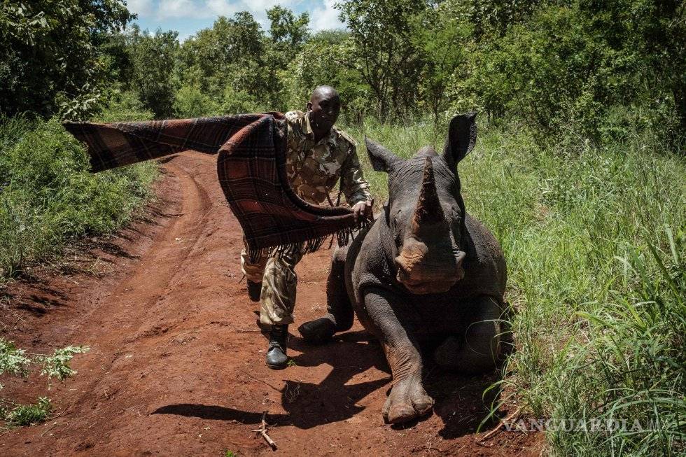 $!Las fotos más espectaculares de animales en este 2018
