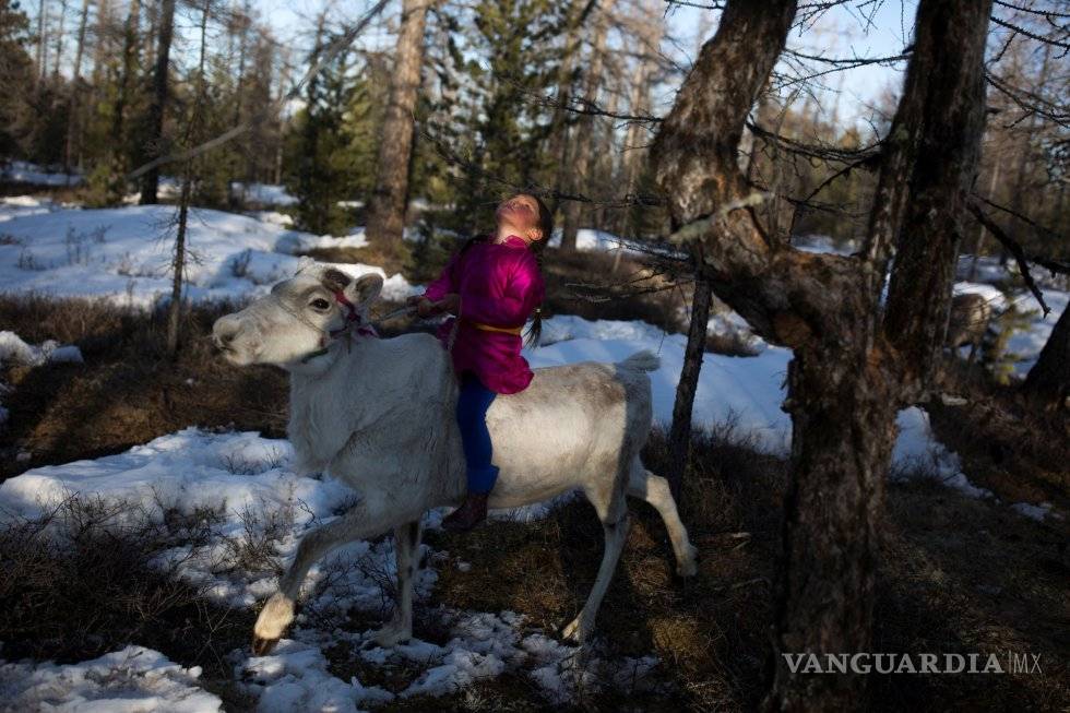 $!Las fotos más espectaculares de animales en este 2018