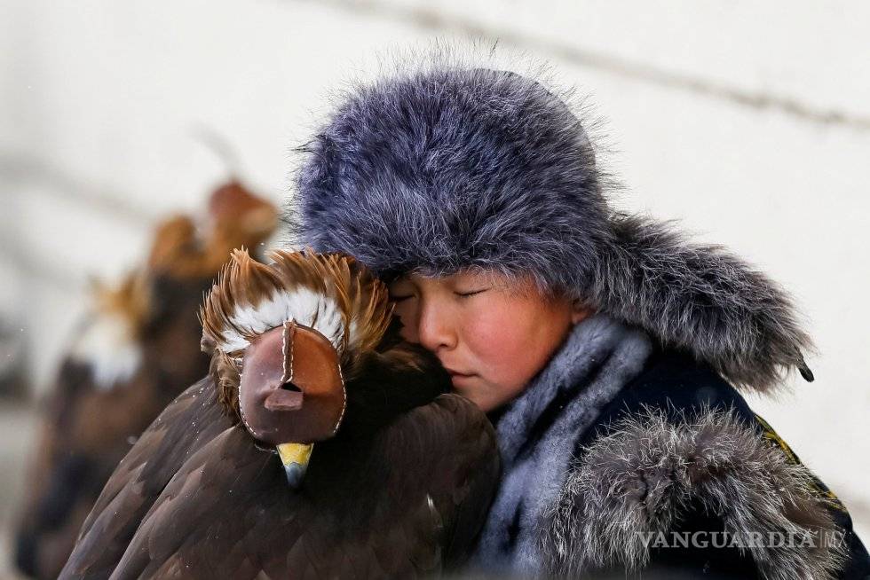 $!Las fotos más espectaculares de animales en este 2018