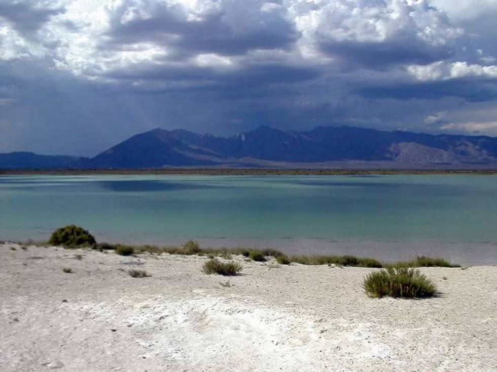 $!Las Playitas de Cuatro Ciénegas se convertirán en el 'Parque Pangea'