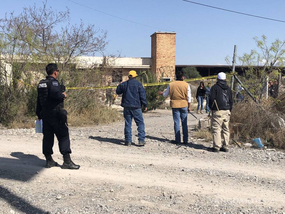 $!Perros matan a hombre y luego lo devoran en Saltillo, indica necropsia