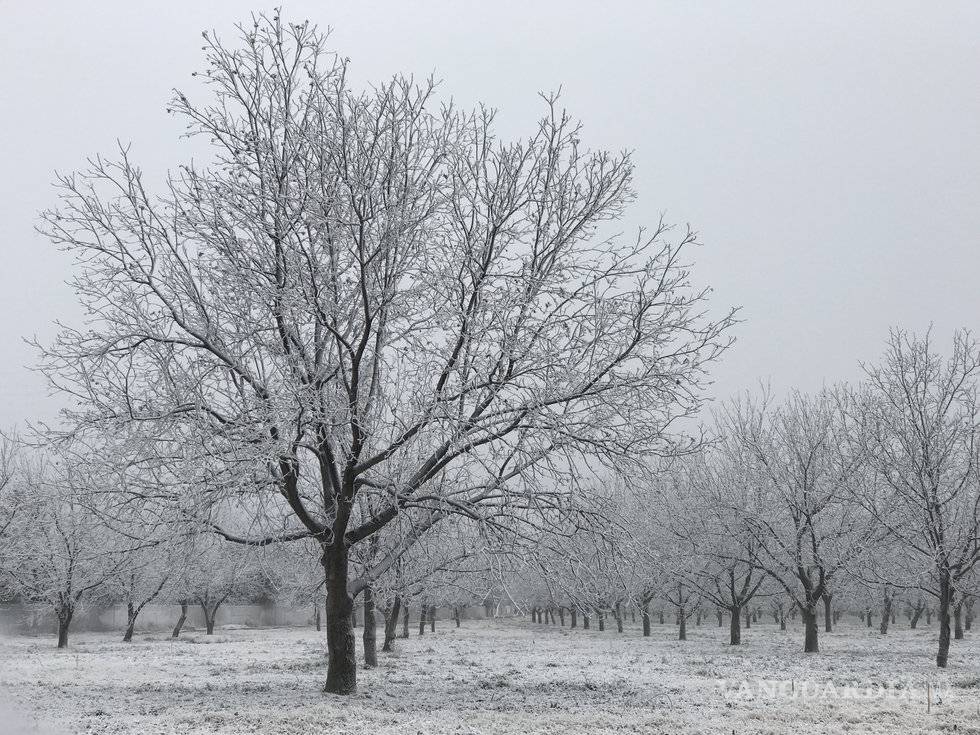 $!Ramos Arizpe, la tercera ciudad más fría de México