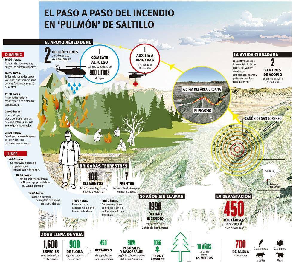 $!Un millón de pesos diarios cuesta combate a incendio en cañón de San Lorenzo