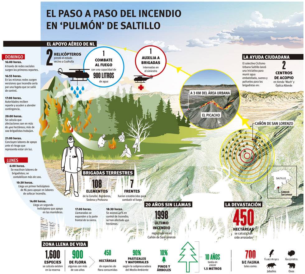 $!Irrecuperable lo siniestrado en el cañón de San Lorenzo: afirma biólogo