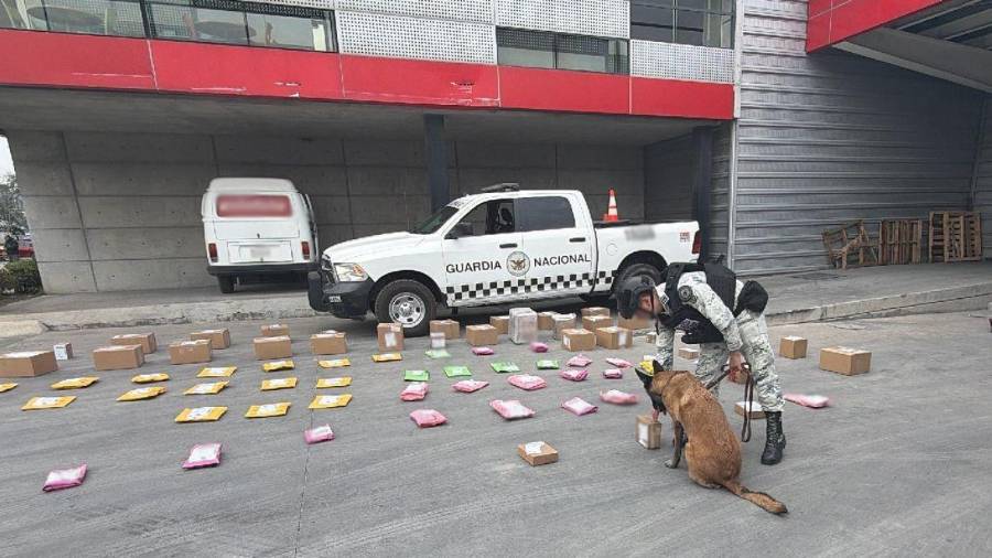 Elementos de la Guardia Nacional lograron interceptar 80 paquetes con droga que tenían como destino 22 entidades de la República, entre ellos, Coahuila, en Nuevo León.