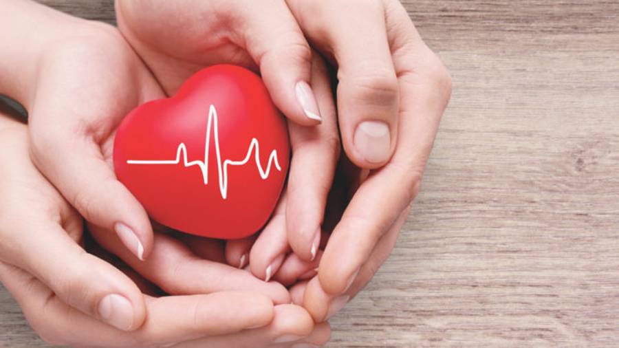 Empieza un año lleno de salud