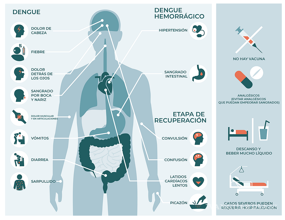 $!Coahuila suma 34 casos de dengue; tres se reportan graves