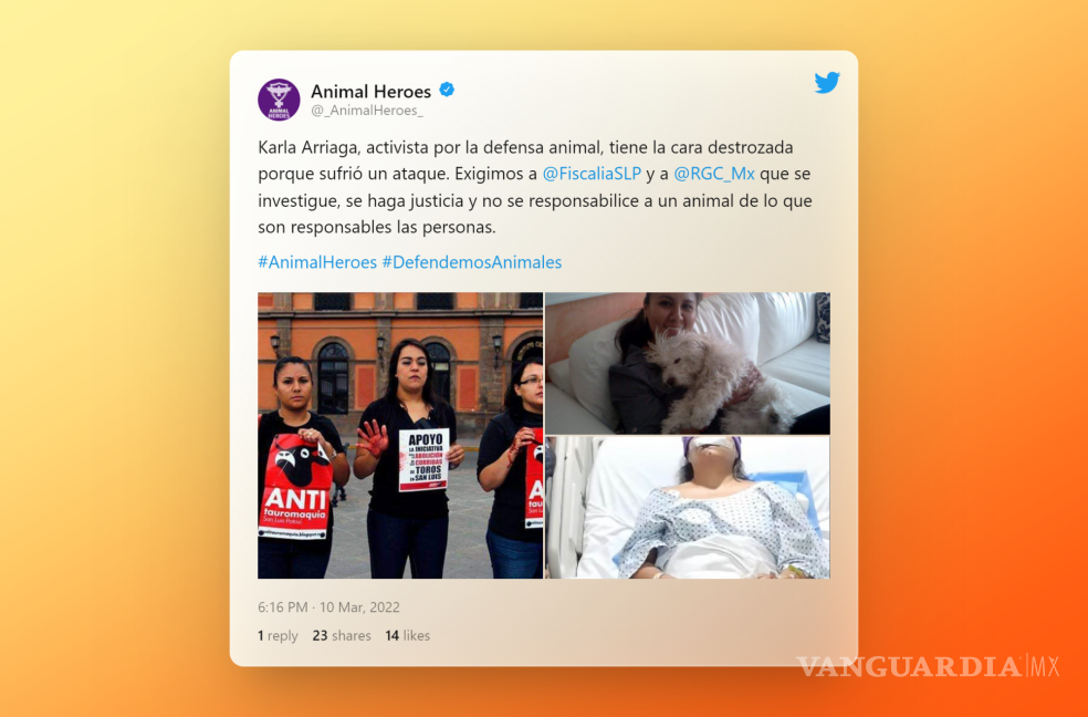 $!Diversas cuentas de Twitter compartieron la historia de Karla, buscando justicia.