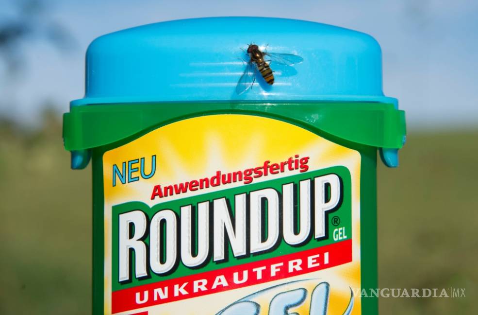$!Confía Bayer en el recurso de Monsanto contra condena millonaria