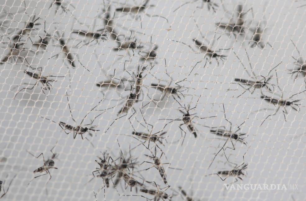 EU enviará a Colombia una delegación científica que investigue el zika