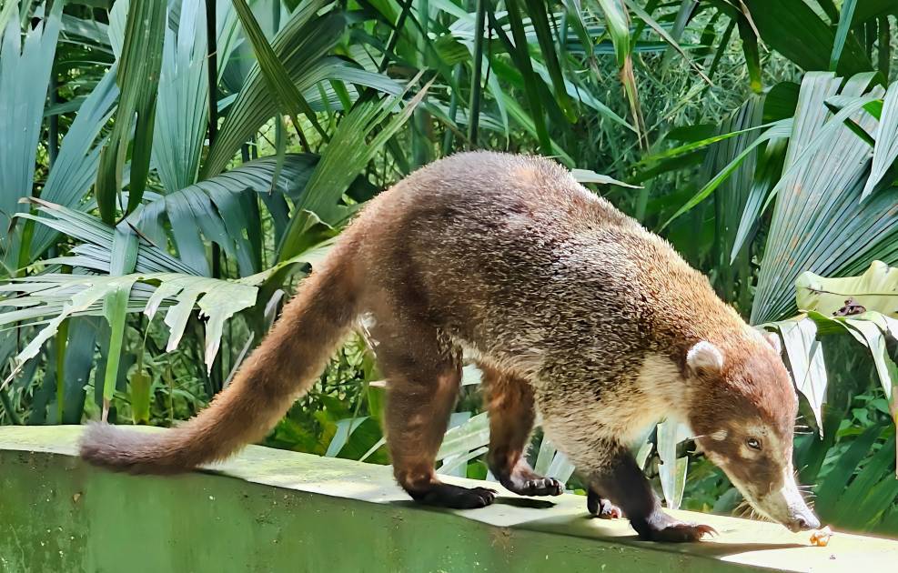 Caminar dispuestos a ver y escuchar