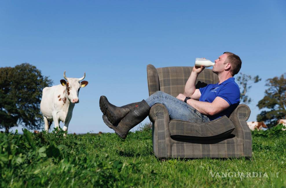 $!Bryce Cunningham, dueño de la Mossgiel Organic Farm cerca de Mauchline, tomando leche con algunas de sus vacas en la Mossgiel Organic Farm.