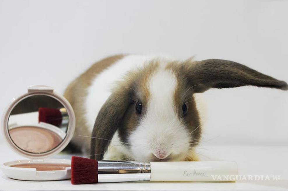 $!Belleza vegana, el futuro de la cosmética